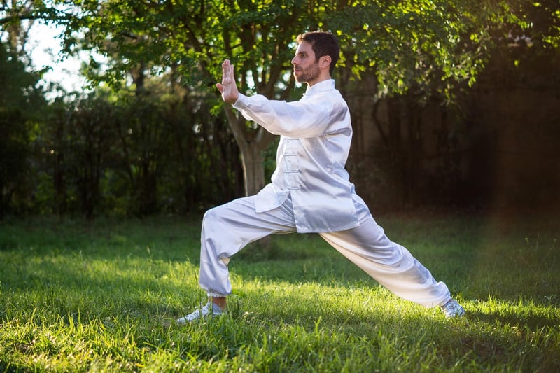 Tai Chi Styles