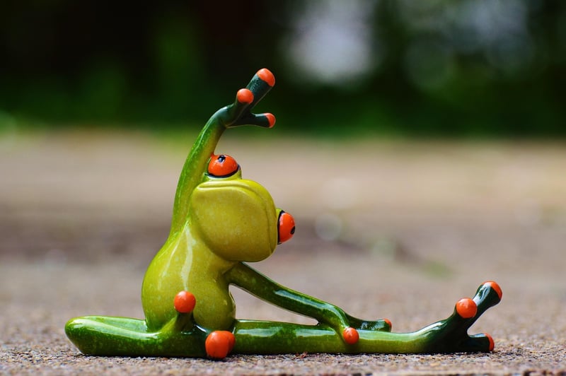Pilates Exercise